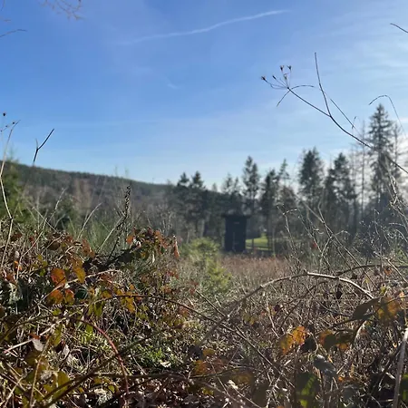 Schwalbennest Mechernich