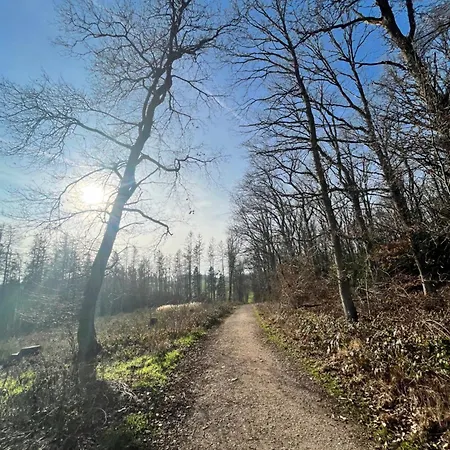 Schwalbennest Mechernich